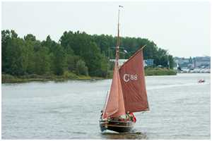 Hanse Sail 2009