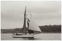Rumregatta 2012