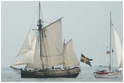 12. Hanse Sail Rostock vom 8.-11. August 2002