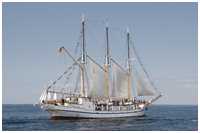 Dreimast-Gaffelschoner Grossherzogin Elisabeth