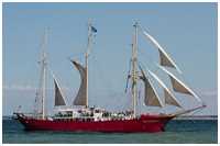 Hanse Sail 2012