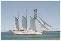 Dreimast-Marssegelschoner Mare Frisium