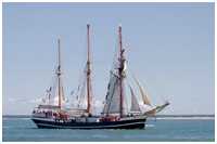 Dreimast-Marssegelschoner Thor Heyerdahl
