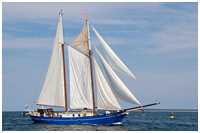 Gaffelschoner Stortemelk