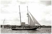 Hanse Sail 2017