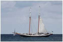 Hanse Sail 2018