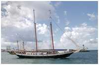 Hanse Sail 2019