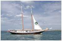 Hanse Sail 2019