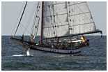 Hanse Sail 2006