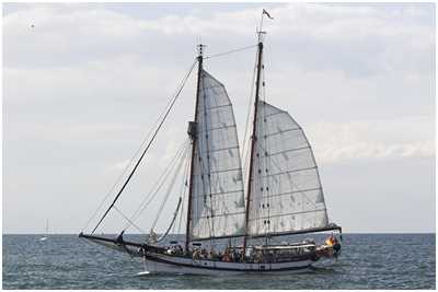 Robbenfänger Arny Maud