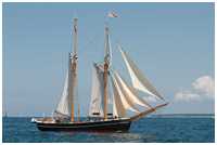 Hanse Sail 2014