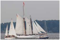 Lotsenschoner No. 5 Elbe