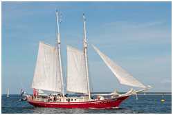 Hanse Sail 2013
