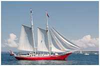 Hanse Sail 2014