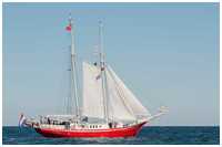 Hanse Sail 2015