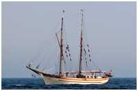 Hanse Sail 2007