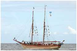 Hanse Sail 2008