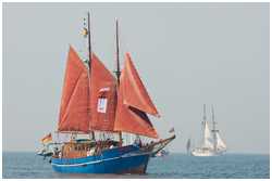 Hanse Sail 2008