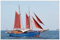 Hanse Sail 2013