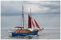 Hanse Sail 2015