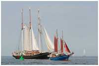 Hanse Sail 2015
