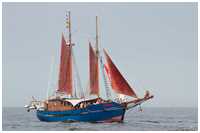 Hanse Sail 2015