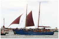 Hanse Sail 2005