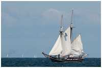 Hanse Sail 2012