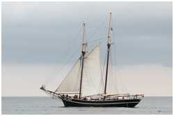 Hanse Sail 2016