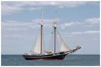 Hanse Sail 2019