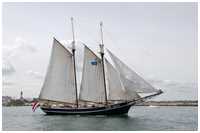Hanse Sail 2019