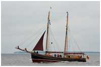 Hanse Sail 2011