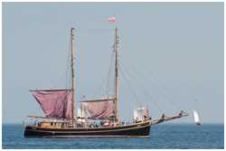 Hanse Sail 2015