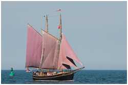 Hanse Sail 2015