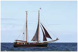 Hanse Sail 2017