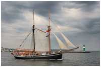 Hanse Sail 2015