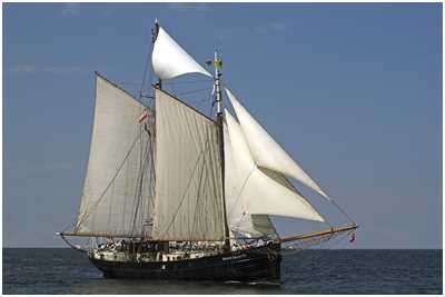 Logger Marie Galante