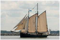 Logger Marie Galante