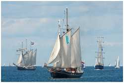 Logger Marie Galante