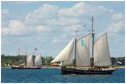 Logger Marie Galante