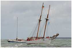 Hanse Sail 2008