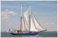 18. Hanse Sail Rostock vom 7.-10. August 2008