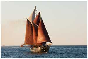 Haikutter Terje Viken