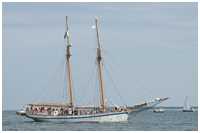 Gaffelschoner Tre Hjärtan