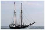 Hanse Sail 2006