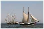 Hanse Sail 2007