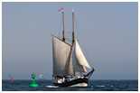 Hanse Sail 2007
