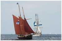 Hanse Sail 2009
