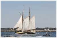 Gaffelschoner Zuiderzee