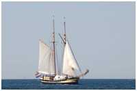 Gaffelschoner Zuiderzee